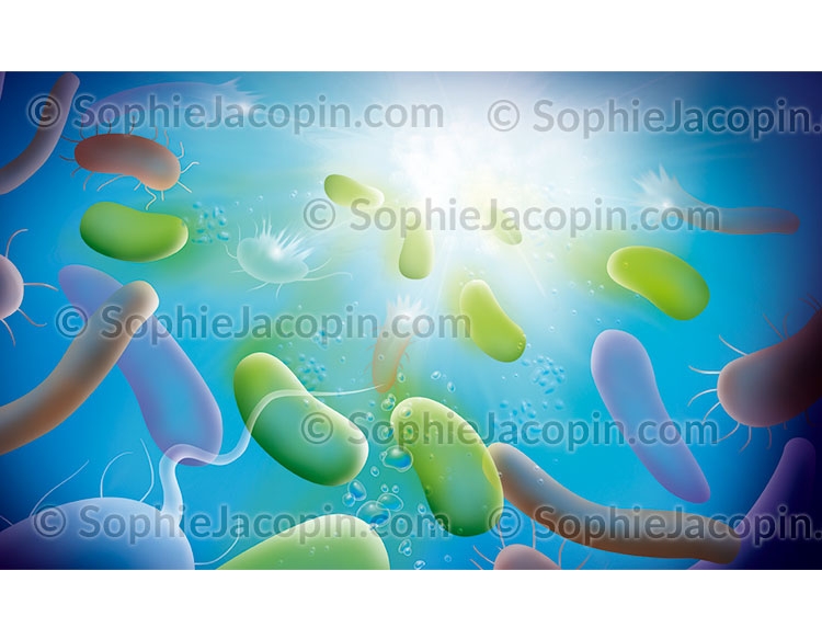 Didactique Scientifique Photosynthèse origine