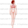 Anatomie féminine, système respiratoire, organes génitaux chez la femme - © sophie jacopin