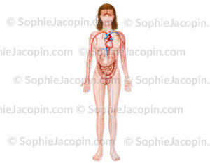 Anorexie, trouble de l'alimentation -© sophie jacopin