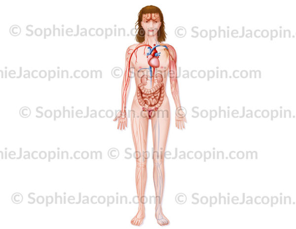 Anorexie, trouble de l'alimentation -© sophie jacopin