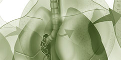 Pathologies - Système respiratoire - Tuberculose