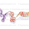 Déroulement du chromosome jusqu'à l'ADN
