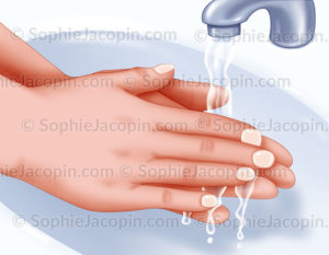 Lavade de mains