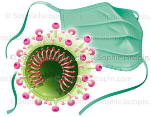 Masque et coronavirus, prévention contre l'épidémie au SARS-COVID-2 - © sophie jacopin