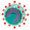Coronavirus, SARS-CoV 2, virus à ARN - © sophie jacopin