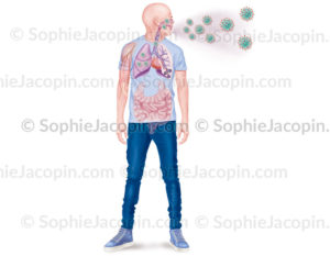 Les symptômes du coronavirus, COVID-19, SARS-COV-2 - © sophie jacopin