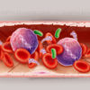 Détecter une cancer grâce à une prise de sang, recherche sur le dépistage précoce du cancer - © sophie jacopin